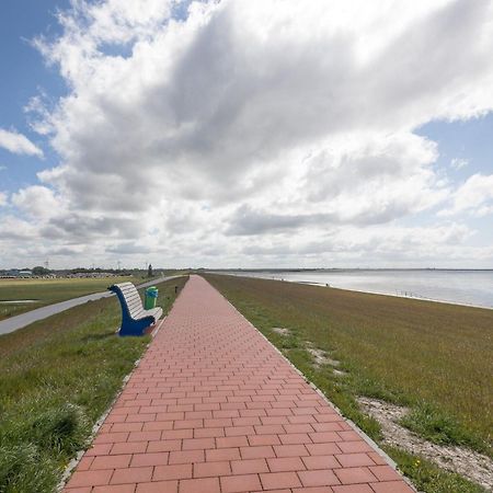 Direkt Am Deich - Ferienwohnung Amrum Im Gaestehaus Am Badedeich Dagebüll エクステリア 写真